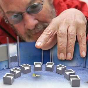 H. P. Maya mit dem Modell der Bühne 2008 (Bild ORF/Johannes Puch) H. P. Maya mit dem Modell der Bühne 2008 (Bild ORF/Johannes Puch)