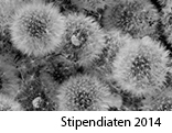 Stipendiaten  2014