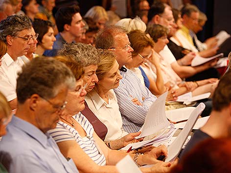 Publikum (Bild: Johannes Puch)